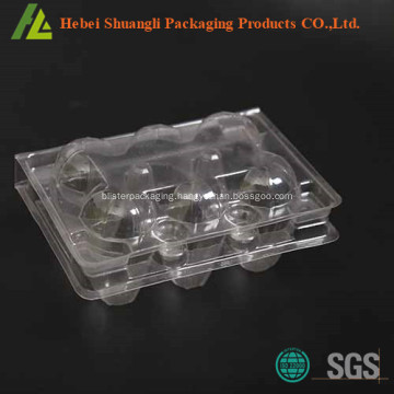 Plastic quail egg box for sale